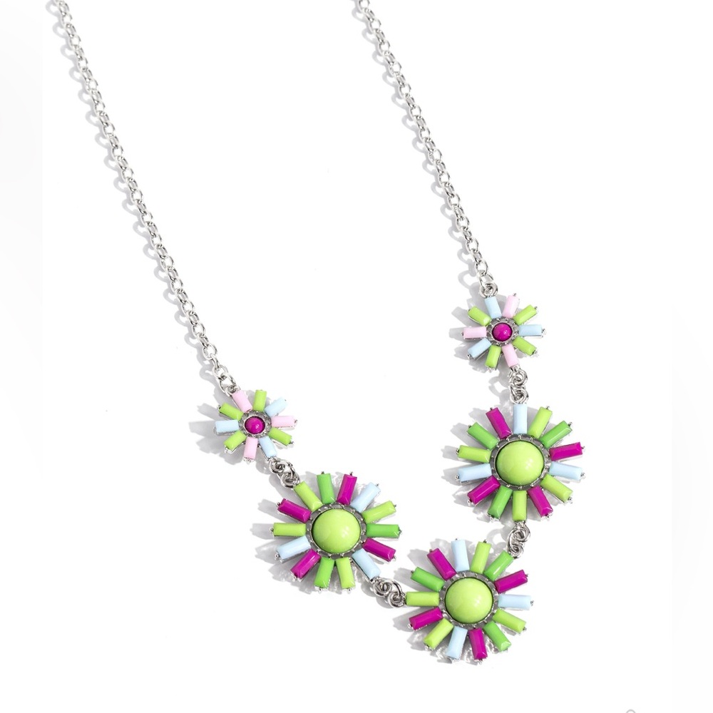 Multi colored Necklace